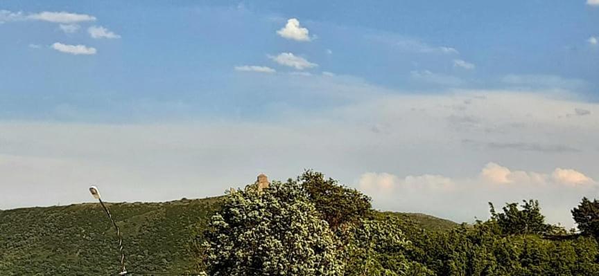 Dream House Hotel Mtskheta Luaran gambar